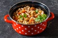 french cassoulet of chicken, sausages, white beans