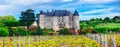 French castles and vineyards,Luynes castle, heritage of France Royalty Free Stock Photo