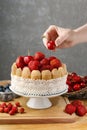 French charlotte cake with strawberries