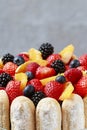 French charlotte cake with summer fruits - details Royalty Free Stock Photo