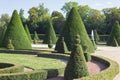 French chateau garden topiary cut tree design