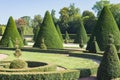 French chateau garden topiary cut tree design