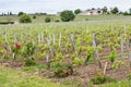 French Chateau in Saint-Emilion Royalty Free Stock Photo