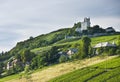 French chateau and vineyards Royalty Free Stock Photo