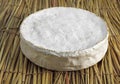 French Cheese called Coulommiers, Cheese made with Cow`s Milk