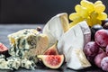 French cheese collection camembert, emmental, marble delicous cheese, blue cheese french, dorblu, mold, roquefort, cheese platter