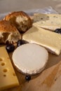 French cheese collection on marble board, emmental, carre de aurillac, petit cantal AOP Jeune, buche chevre, brie