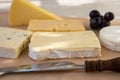 French cheese collection on marble board, emmental, carre de aurillac, petit cantal AOP Jeune, buche chevre, brie