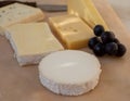 French cheese collection on marble board, emmental, carre de aurillac, petit cantal AOP Jeune, buche chevre, brie