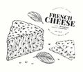 French cheese illustration. Hand drawn vector blue cheese illustration. Engraved style gorgonzola. Vintage roquefort cheese