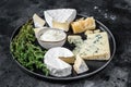 French Cheese plate. Camembert, Brie, Gorgonzola and blue cream cheese. Black background. Top view Royalty Free Stock Photo