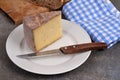 French cheese on a plate with knifr Royalty Free Stock Photo