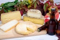 French cheese platter with beer Royalty Free Stock Photo