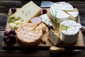 French cheese platter Royalty Free Stock Photo