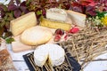 French cheese platter Royalty Free Stock Photo