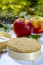 French cheeses collection, piece of fermented cow milk cheese Camembert au Calvados served with apples outside in green garden