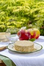 French cheeses collection, piece of fermented cow milk cheese Camembert au Calvados served with apples outside in green garden