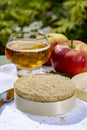 French cheeses collection, piece of fermented cow milk cheese Camembert au Calvados served with French dry apple cider outside in