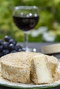 French cheeses collection, piece of fermented cow milk cheese Camembert au Calvados served with glass of sweet red port wine in