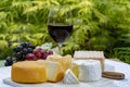 French cheeses collection, yellow Riche de Saveurs, Vieux Pane and Le peche des bons peres cheeses served with glass of red port Royalty Free Stock Photo