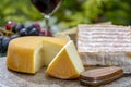 French cheeses collection, yellow Riche de Saveurs, Vieux Pane and Le peche des bons peres cheeses served with glass of red port Royalty Free Stock Photo