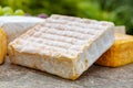 French cheeses collection, yellow Vieux Pane cheese with white mold served on marble plate outdoor in green garden