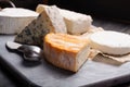 French cheeses plate in assortment, blue cheese, brie, munster,