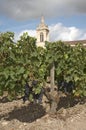 French church and vines at Margaux