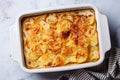 French classic potato gratin dauphinois Royalty Free Stock Photo