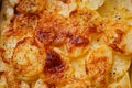 French classic potato gratin dauphinois Royalty Free Stock Photo
