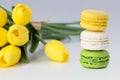 French Colorful Macarons on a White Background with Flowers