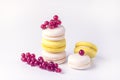 French Colorful Macarons White and Yellow Macarons on White Background with Fresh Red Currant Copy Space Horizontal Toned French