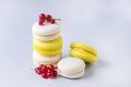 French Colorful Macarons White and Yellow Macarons on Blue Background with Fresh Red Currant Copy Space Horizontal French Dessert