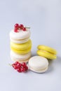 French Colorful Macarons White and Yellow Macarons on Blue Background with Fresh Red Currant Vertical French Dessert