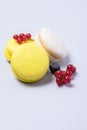 French Colorful Macarons White and Yellow Macarons on Blue Background with Fresh Red Currant Vertical French Dessert