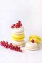 French Colorful Macarons White and Yellow Macarons on White Background with Fresh Red Currant Copy Space Vertical French Dessert