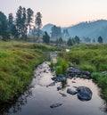 French Creek in Custer State Park