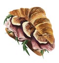 A french croissant with ham, figs and ruccola