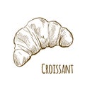 French Croissant, vector hand drawn