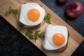French croque madame sandwich Royalty Free Stock Photo