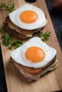 French croque madame sandwich Royalty Free Stock Photo