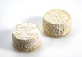 French Crottin Goat Cheese against White Background Royalty Free Stock Photo