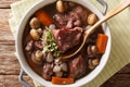 French cuisine: Coq au vin in wine close-up in a bowl. hori Royalty Free Stock Photo