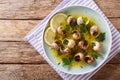 French cuisine: Escargot with butter, herbs and garlic close-up Royalty Free Stock Photo