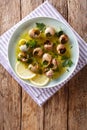 French cuisine: Escargot with butter, herbs and garlic close-up Royalty Free Stock Photo