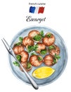 French cuisine - Escargot with garlic herbs butter. Watercolor illustration