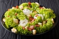 French cuisine: Lyonnaise salad of lettuce, bacon, croutons and Royalty Free Stock Photo