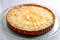 French cuisine pie with apricots