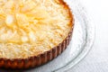 French cuisine pie with apricots Royalty Free Stock Photo