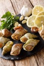 French cuisine: raw marine snails, whelk close-up and ingredient Royalty Free Stock Photo